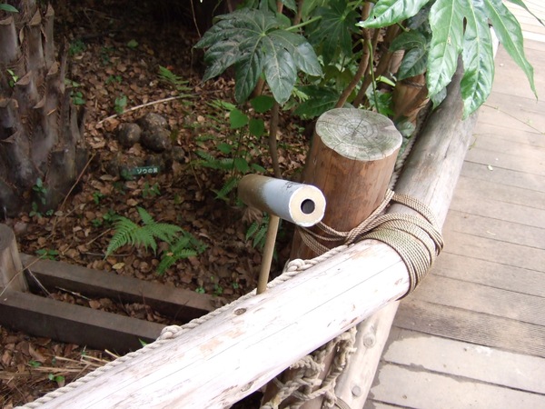 エコ活動の仕掛け